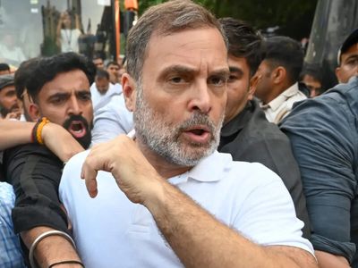 'Totally unacceptable': BJP alleges Rahul Gandhi 'inappropriately touched' woman cop during protest