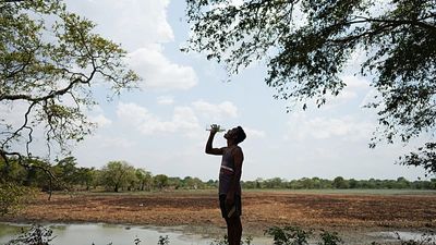Dry wells and shrinking water holes as drought grips Sri Lanka