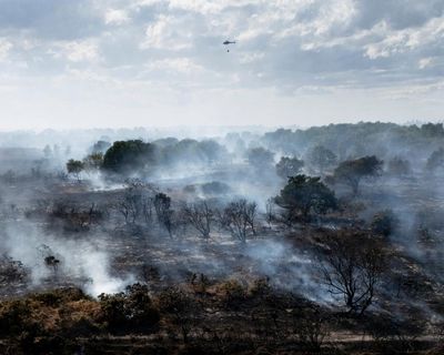 July 2026 was worst on record for wildfires in England, data shows