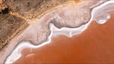 NSW protects first pink lakes: governments buy Pulgamurtie Station