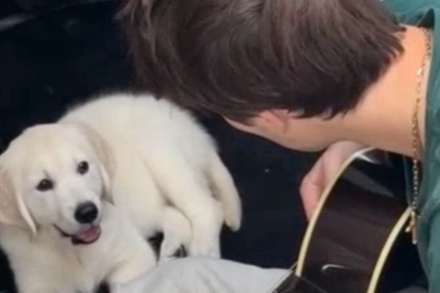Cruz Beckham serenades new dog Sandy with Grease classic