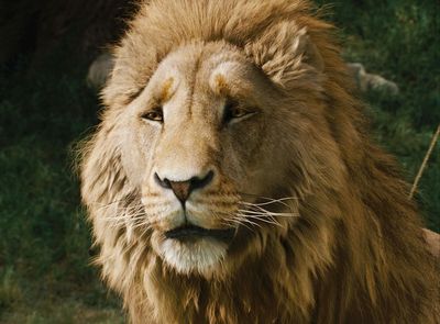 Netflix's Next Fantasy Epic Is Making A Drastic Change — But It's Not As Bad As You Think
