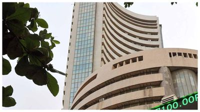 Absence of AI in equities will become India's strength in a year, mkts to start attracting flows: CEA
