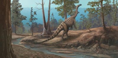 Zimbabwe’s dinosaurs were different from South Africa’s: new species offers clues