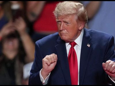 Trump trust bought millions in Meta, SpaceX in August
