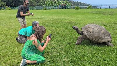 Jonathan the tortoise, the world’s oldest living land animal