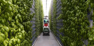 Why ‘vertical farming’ is not a fix for our food system