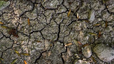 Drought: groundwater levels in France remain very low