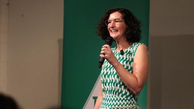 Greens hints state at 'crossroads' at party launch