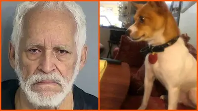 Florida man sentenced after leaving his dog to die in a dumpster because he was ‘too busy’ to take his pet to the vet