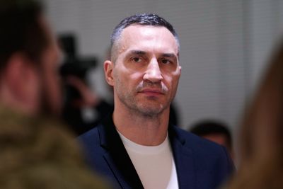 Hayden Panettiere's ex Wladimir Klitschko gets legal status to protect their daughter's inheritance