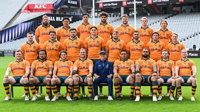 'Why not': Wilson's Wallabies plot 40-year first