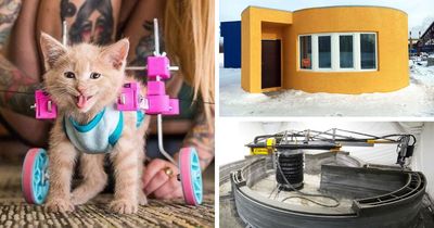 66 Times Human Ingenuity Hit Its Absolute Ceiling Thanks To A 3D Printer And Some Audacity