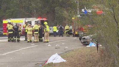 P-plater bailed after horror crash into Newcastle fans