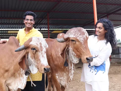 From 20 rented cows to Rs 2.4 crore revenue: Engineer's gamble turns into a farm with 100 Gir cows, 300+ sandalwood trees & dozens of mango varieties