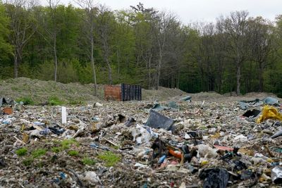Kent ancient woodland cleared from ‘worst waste dump’ ever seen in £15 million operation