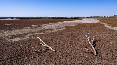 Hungary's 2026 drought is the country's most severe in 126 years, data shows