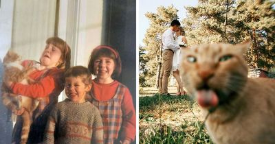 “Awkward Family Photos” Shared 39 Hilarious Family Pictures In Which Cats Stole The Spotlight