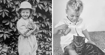 This Page Shared 39 Historical Photos That Capture The Timeless Bond Between Children And Cats (New Pics)