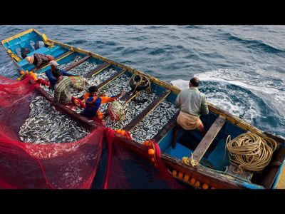 Centre seeks fishers’ views to shape national action plan for sustainable small-scale fisheries