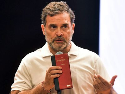 India needs level playing field where every business has fair chance to compete: Rahul Gandhi