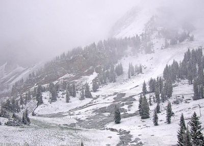 I-90 winter weather advisory issued as up to 3 inches of snow and 35 mph gusts to hit Montana: Which highways could see snow and slippery roads