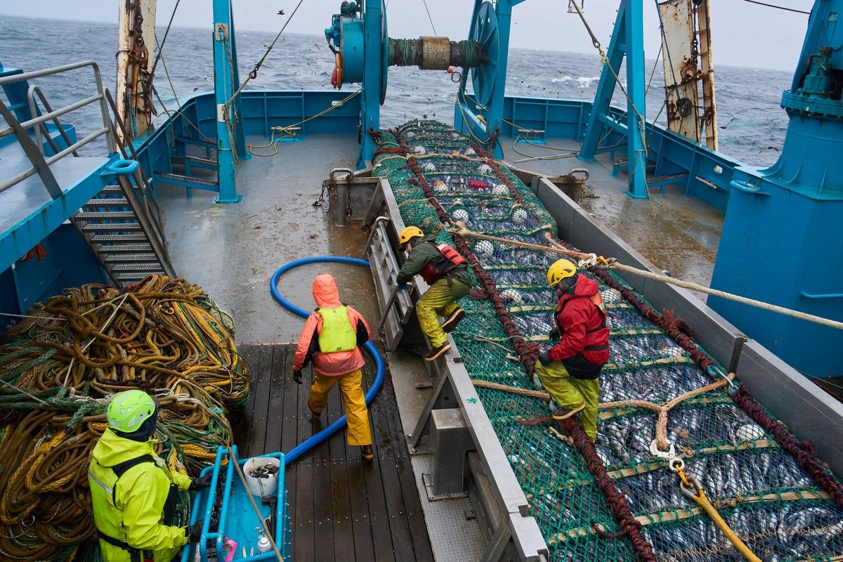 Fishing company behind McDonald’s Filet-o-Fish…