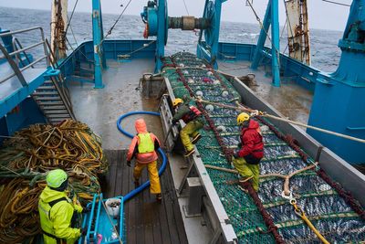 Fishing company behind McDonald’s Filet-o-Fish devastates Alaska salmon and Native communities
