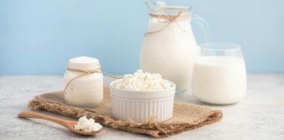 The gut-muscle link: why fermented foods could boost muscle health