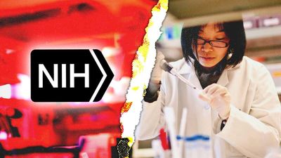 The NIH Plan To Strengthen 'Replication and Reproducibility' Will Not Check Anything