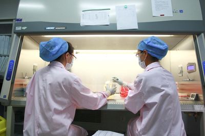 NIH Tells HIV and Tuberculosis Trial Networks to Delay New Studies as Funding Renewal Notices Stall at HHS