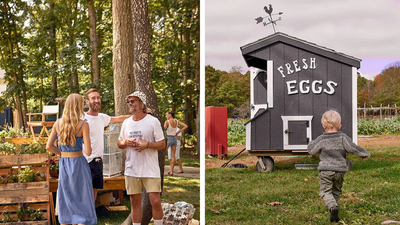 Isabella Rossellini protects 20.8 acres of New York farmstead, turning it into a community farm