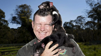 Chris Hemsworth and Elsa Pataky help return Tasmanian devils to Australia after 3,000 years