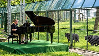 Rick Wakeman played piano for 150 rescued moon bears; 125 remain caged on farms