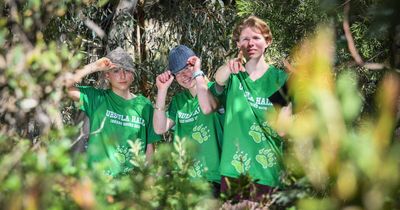 'Cars with blindfolded kids?': the running cult alive and well in Canberra