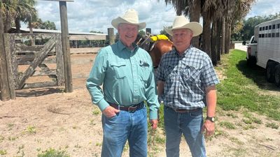 Adams Ranch grows from a 1937 family venture into a 50,000-acre Florida cattle operation
