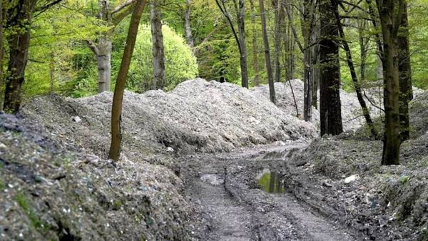 Nearly 39,500 tonnes of illegally dumped waste cleared from Hoad’s Wood, Kent after £15.5M clean-up