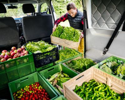 Don’t go the extra mile: is local food better for the environment?