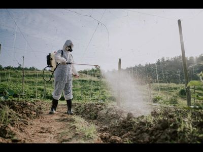 India’s next fertiliser revolution: New-age nutrients to complement conventional fertilisers