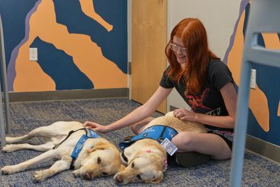 Therapy dogs bring calm and joy to students following shooting at Colorado high school