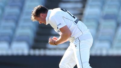 Forgotten Test quick sparks superb Shield fightback
