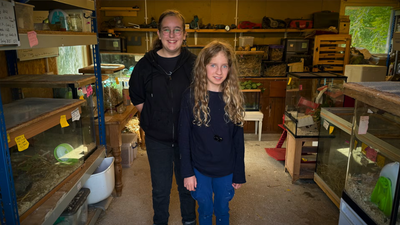 Two 14-year-olds recruit 20 children to raise endangered harvest mice at home