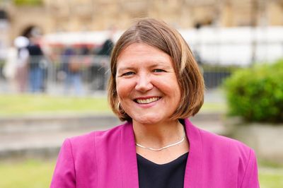 Green MP says party must guard against ‘capture by extremists and racists’
