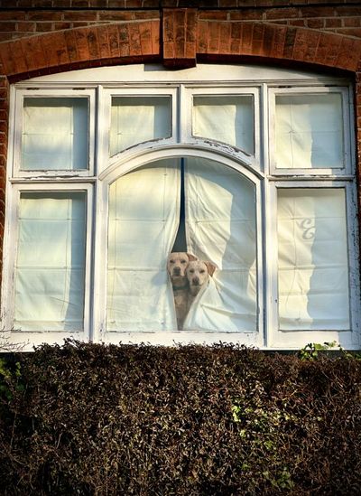 ‘They looked like two curtain-twitchers, though not very subtle ones’: Peter Crome’s best phone picture