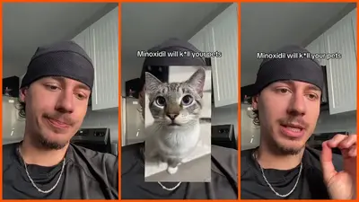 ‘He was just a baby’: A cat owner says his hair-loss treatment cost him his 2-year-old cat, and he’s warning others about minoxidil