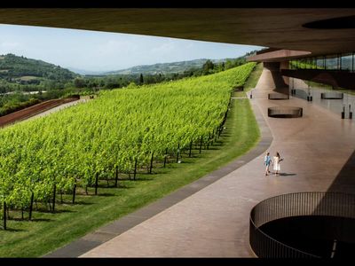 In 1385, Italy's largest family-run winemaker was founded, centuries later thieves stole 30,000 bottles worth USD 5.8 million, CCTV footage shows daredevil theft