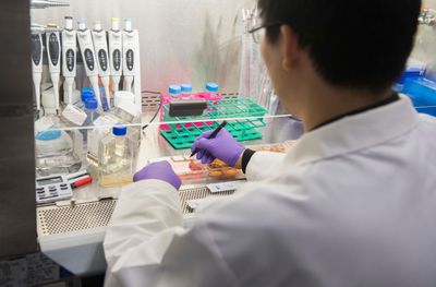 Caribou Biosciences Halts Off-the-Shelf CRISPR CAR-T Programs for Lymphoma and Myeloma After Failing to Fund Phase 3 Trial