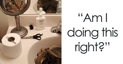 57 Times People Forgot Mirrors Reflect Everything And Ended Up With Hilarious Photos