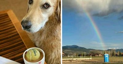 70 Mildly Amusing Photos That Might Bring You Joy