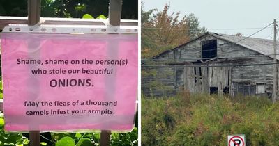 70 Mildly Amusing Photos That Might Bring You Joy
